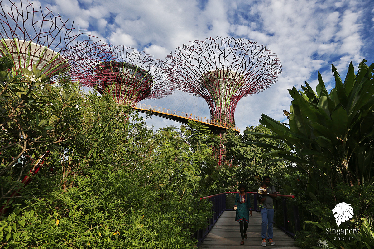 Supertree Gardens by the Bay