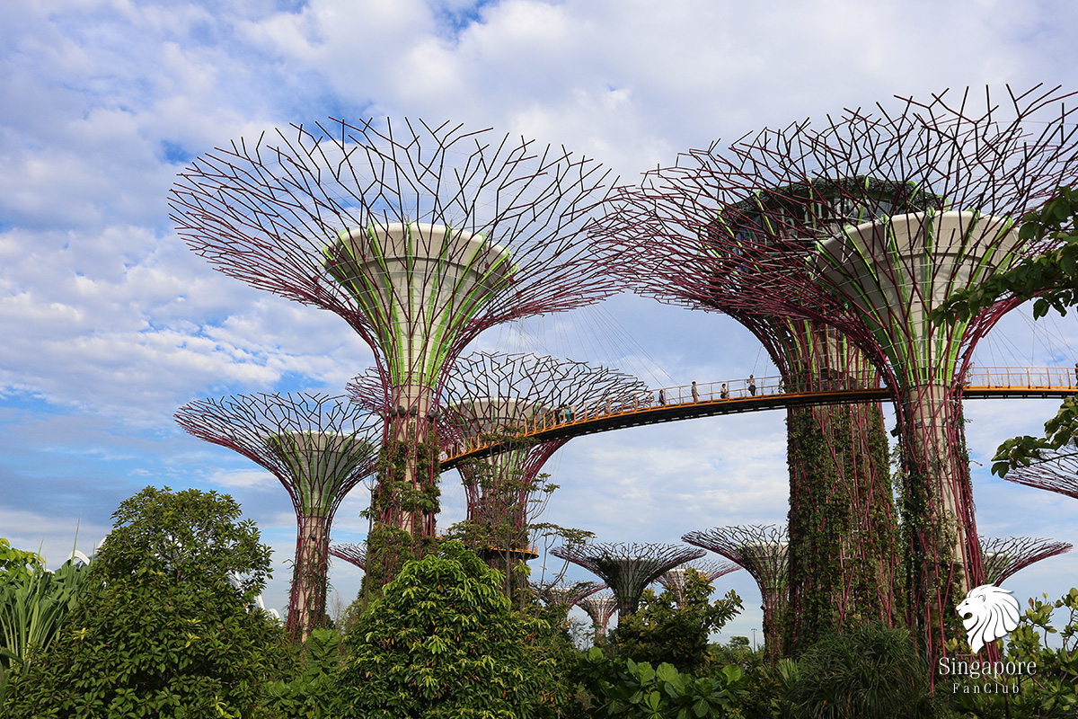 OCBC Skyway