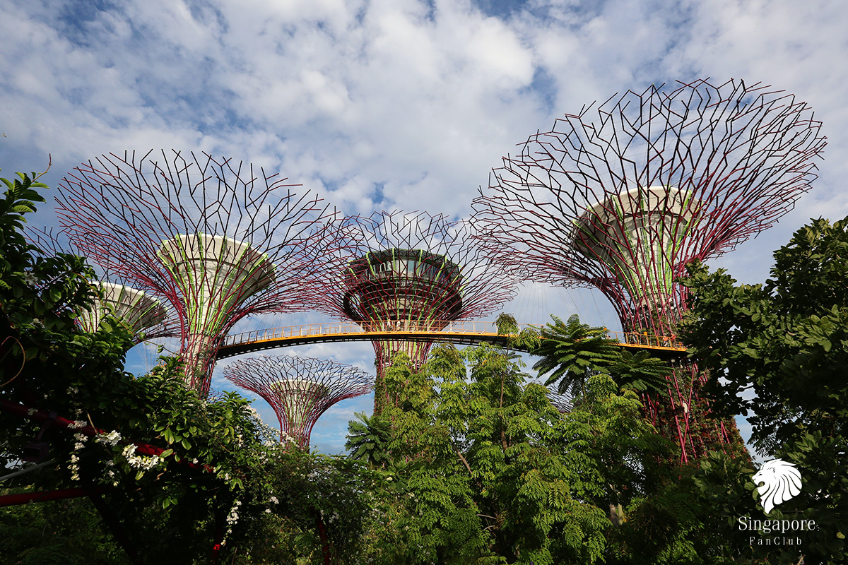 Supertree OCBC Skyway