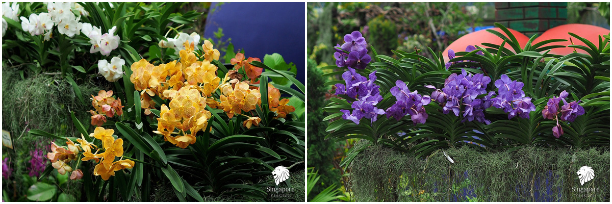 Gardens by the Bay มีอะไรบ้าง