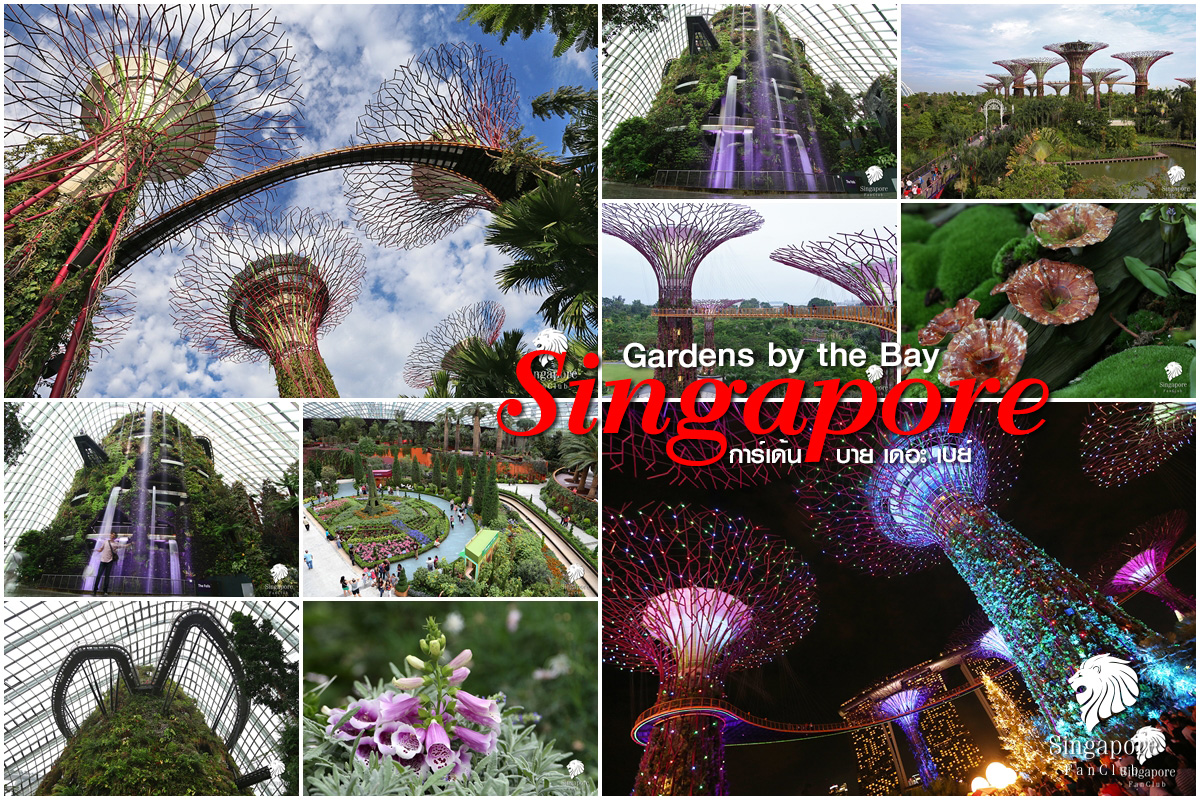 Gardens by the Bay สิงคโปร์