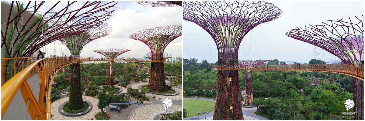 OCBC Skyway สะพานลอยฟ้า