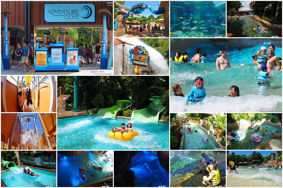 Adventure Cove Waterpark สวนน้ำใน SENTOSA สิงคโปร์