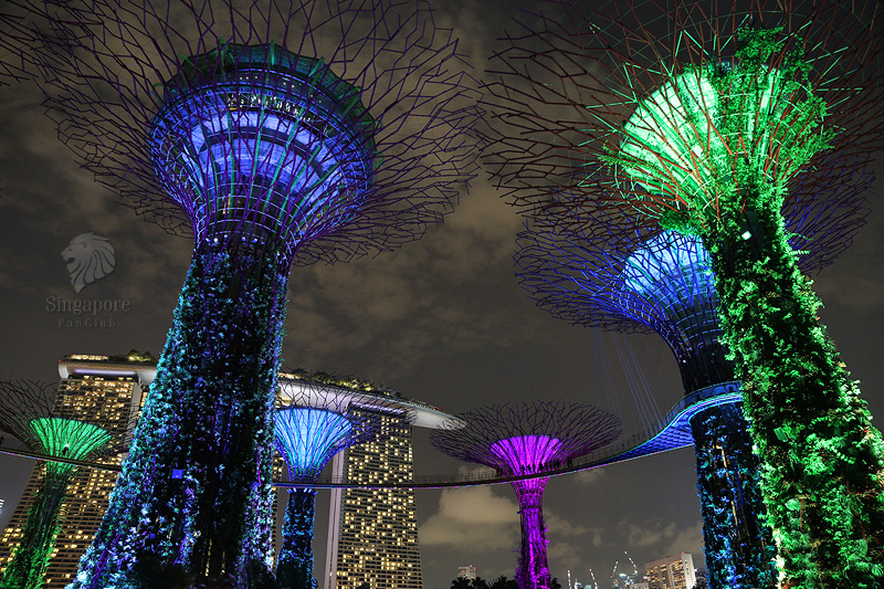 การแสดง แสง สี เสียง OCBC Light and Sound Show ที่ Gardens By The Bay (ชมฟรี)