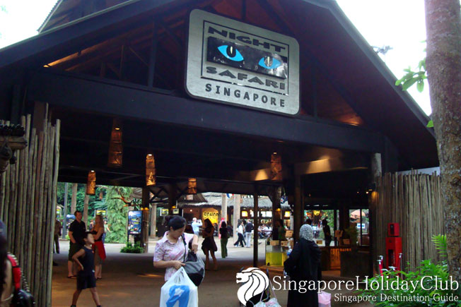 Singapore Night Safari – มาดูชีวิตสัตว์ยามค่ำคืนกัน