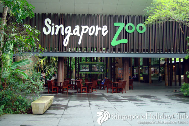 Singapore ZOO – สวนสัตว์สิงคโปร์