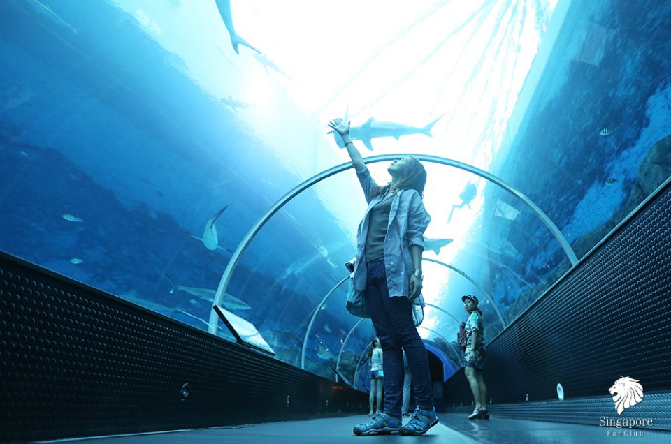 The Maritime Experiential Museum™ & S.E.A Aquarium Sentosa (2018)