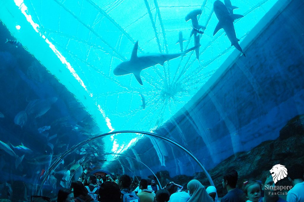 S.E.A Aquarium