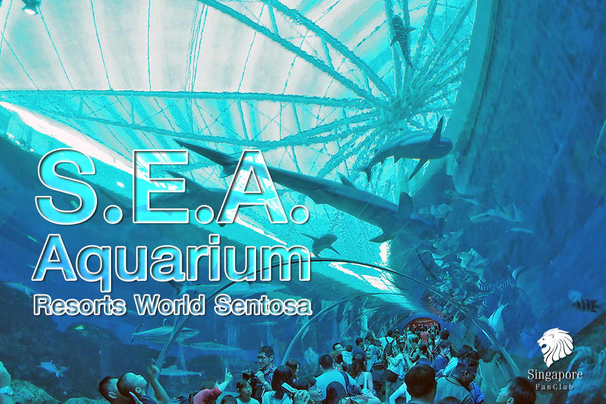 S.E.A Aquarium Sentosa สิงคโปร์