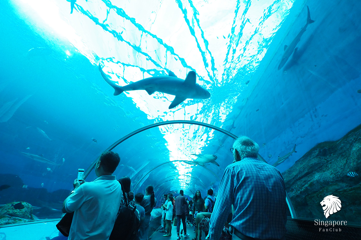 SEA Aquarium