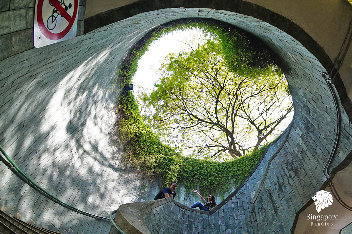 Tree Tunnel Fort Canning