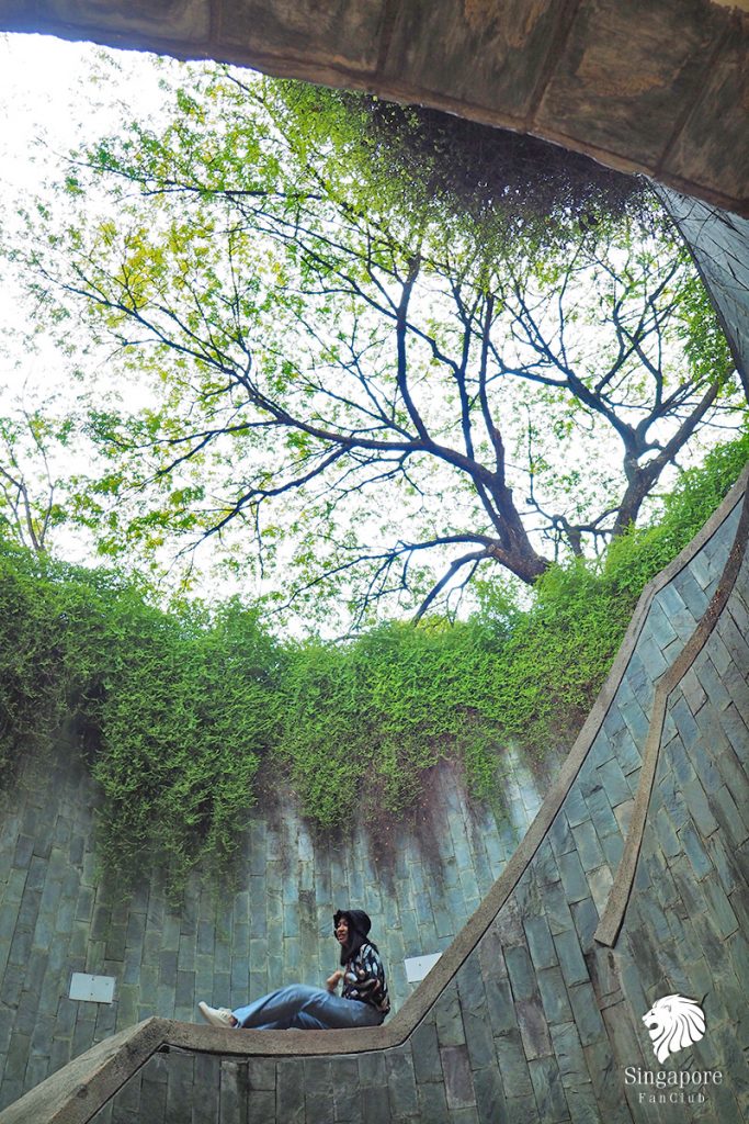 อุโมงค์ต้นไม้ สิงคโปร์