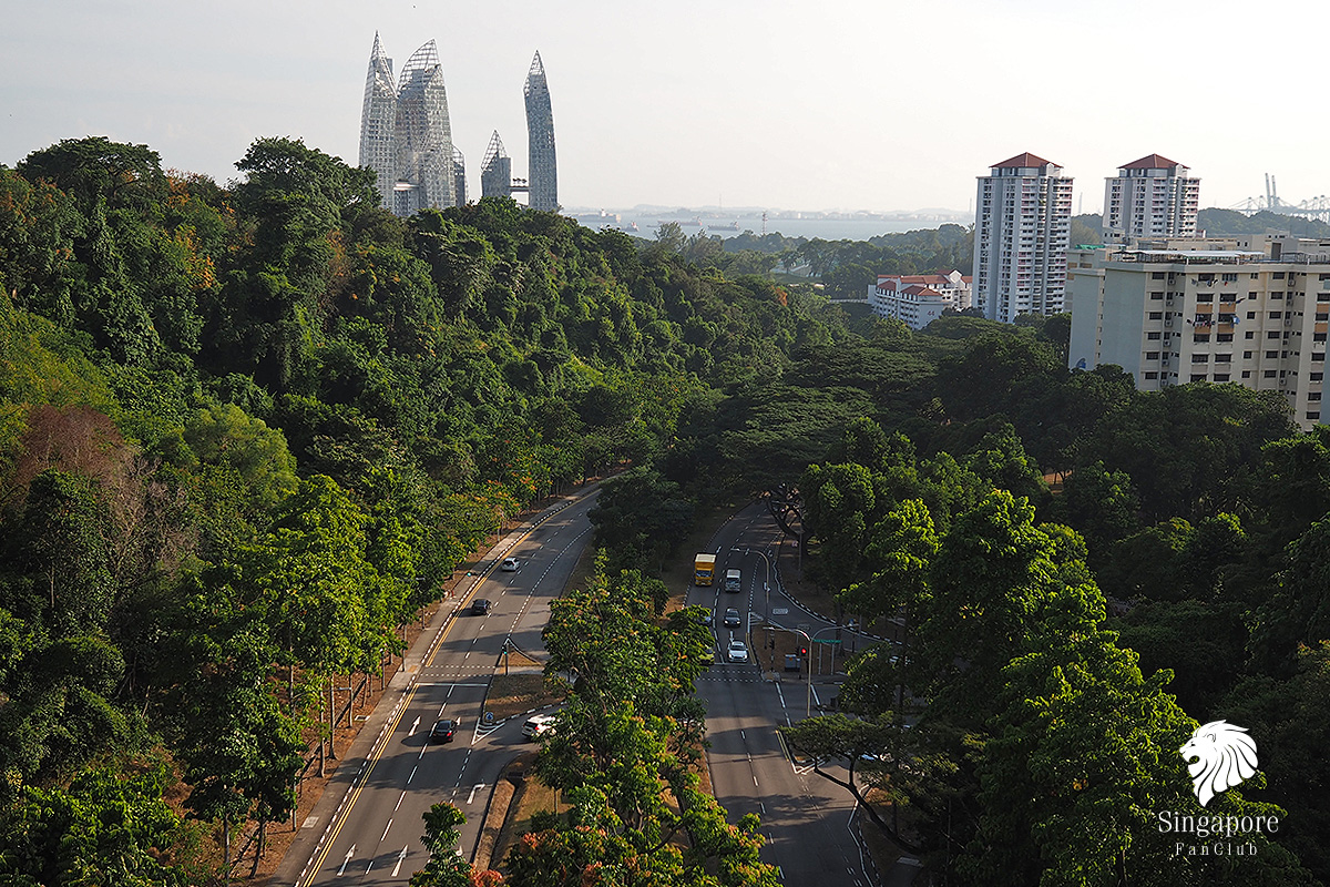 สะพานเฮนเดอร์สัน เวฟ