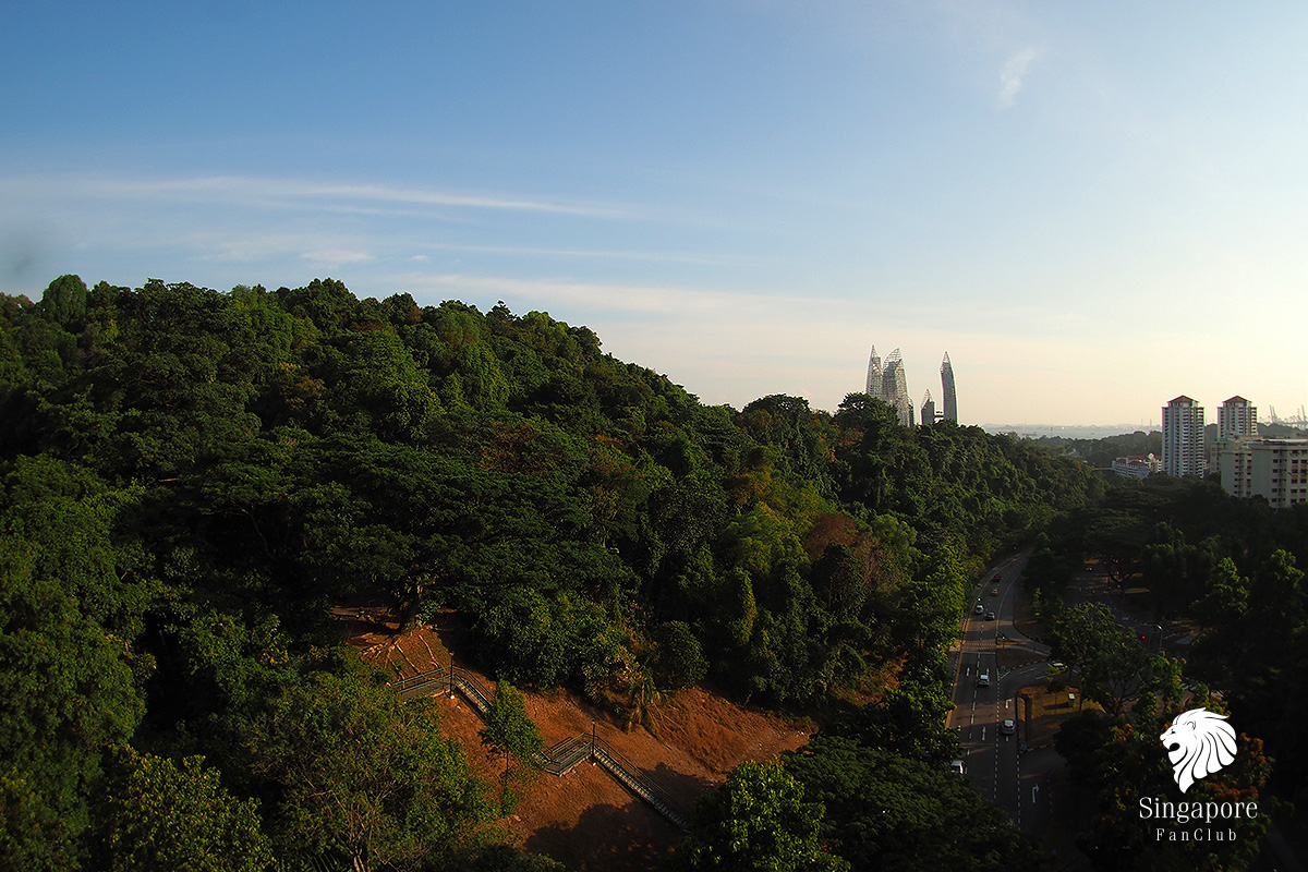 Henderson Waves