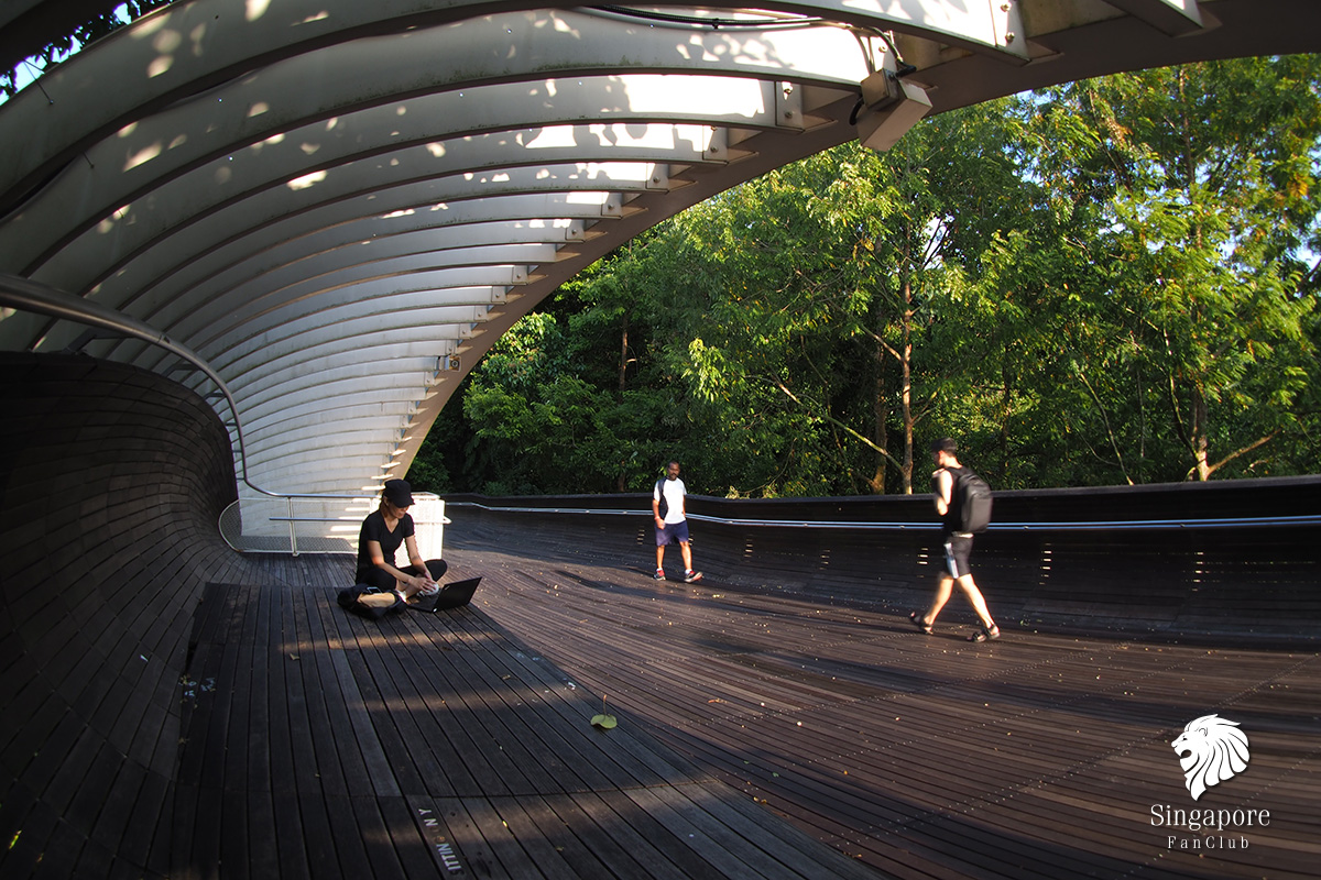 Henderson Waves