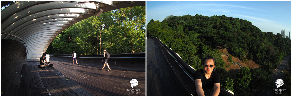 Henderson Waves bridge