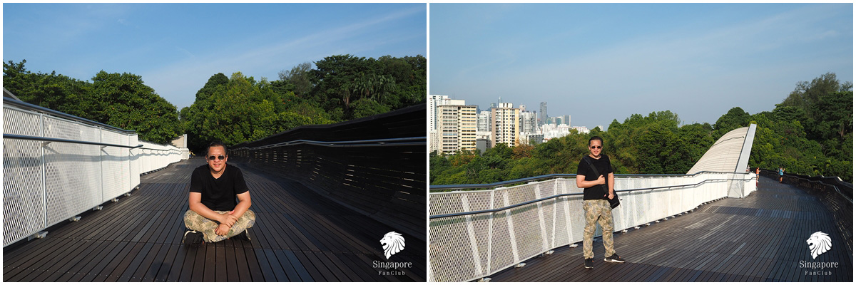 Henderson Waves bridge